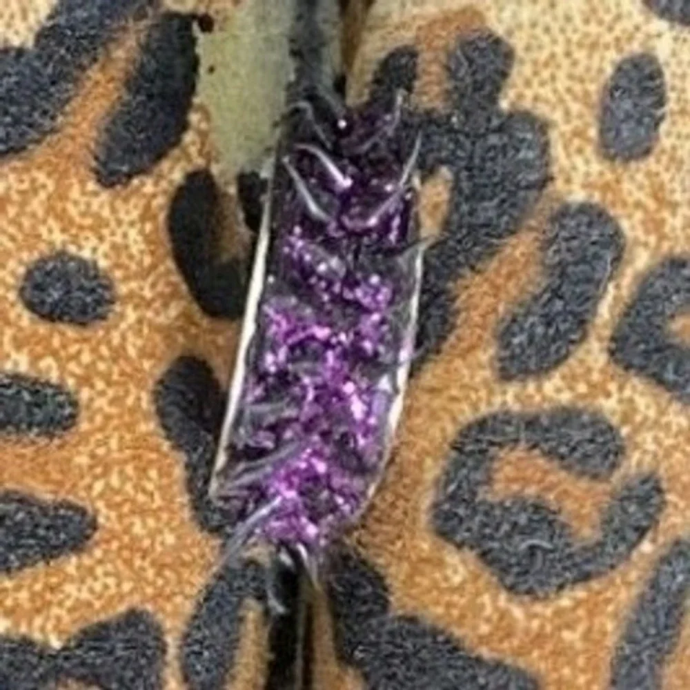 A silver-tone band‎ ring with purple rhinestones (pavé-style). Size 6.75